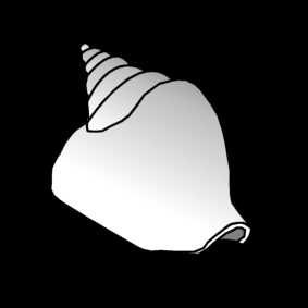 schelp